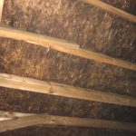 attic mold