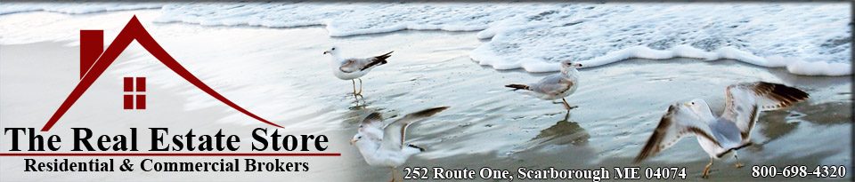 The Real Estate Store